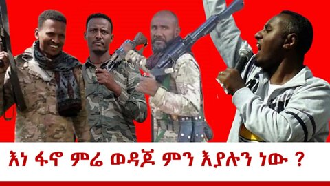 Ethio 360 Special Program "እነ ፋኖ ምሬ ወዳጆ ምን እያሉን ነው?" Monday March 28, 2022