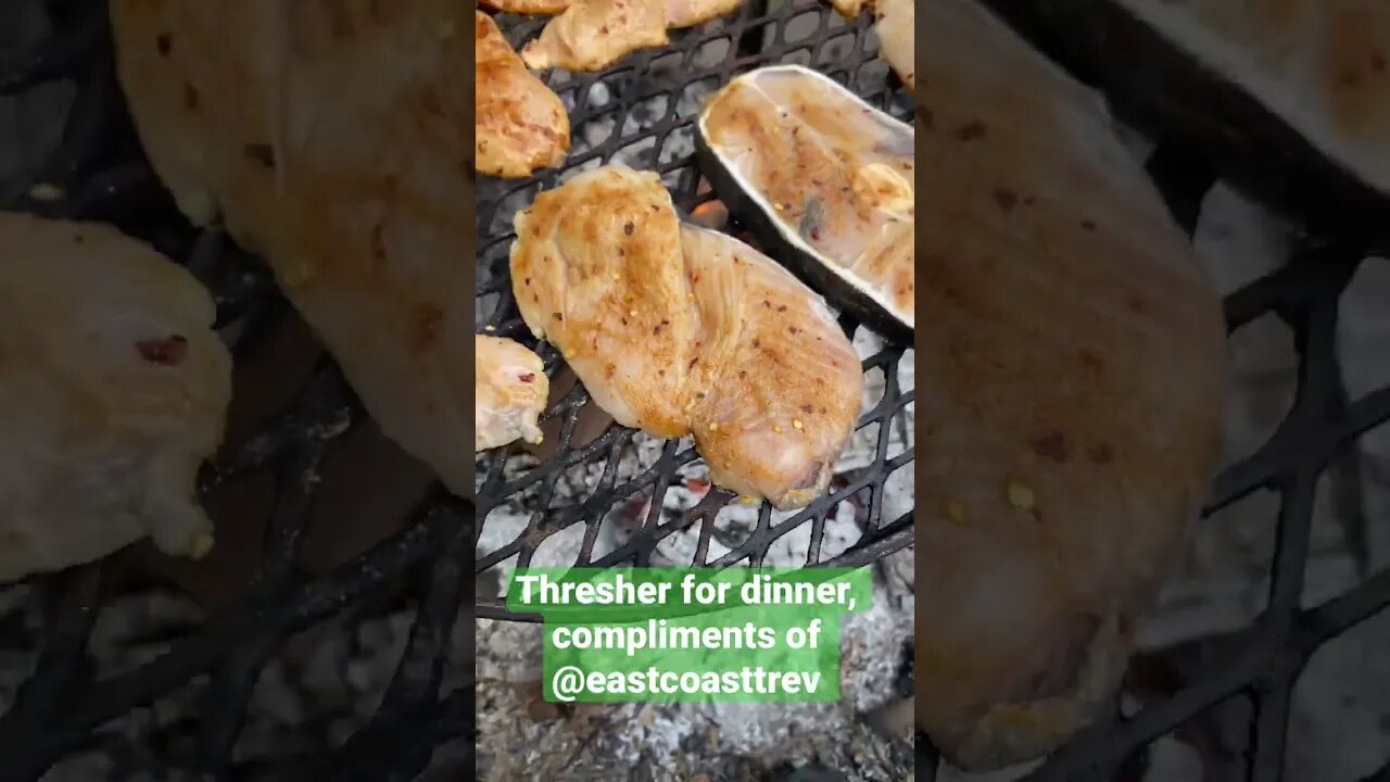 #shorts Shark, it’s what for dinner! 🦈 #catchckeancook
