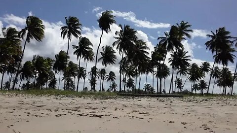 praia ponta do coqueiro2