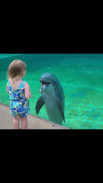 Little girl and super social dolphin stop to have a sweet chat,VIRAL,TRENDING,
