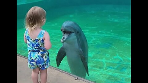 Little girl and super social dolphin stop to have a sweet chat,VIRAL,TRENDING,