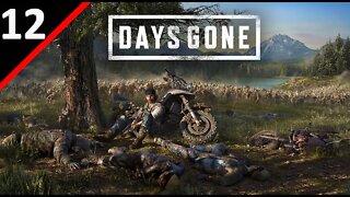 🔴 [PC] Days Gone l Survival II Difficulty (Hardest Difficulty) l Part 12