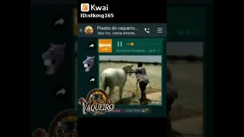 #shorts #viral #comedia #whatsapp #kwai #tictoc #brasil