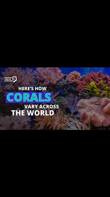 Here’s How Corals Vary Across the World