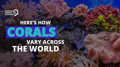 Here’s How Corals Vary Across the World