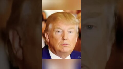 You're Fired