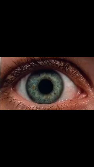 The Interconnected Nature of Light, Matter & Our Reality - HaloRockNews