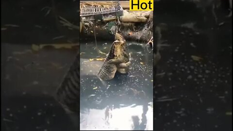 Amezing hot😘