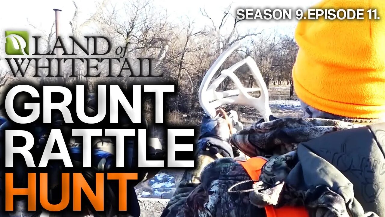 Grunt, Rattle and Rut | Land of Whitetail