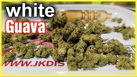 THCA 🌿 White Guava Smalls | JK DISTRO