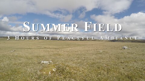 Relaxing Summer Field | Nature ASMR | Birds, Wind, and Clouds