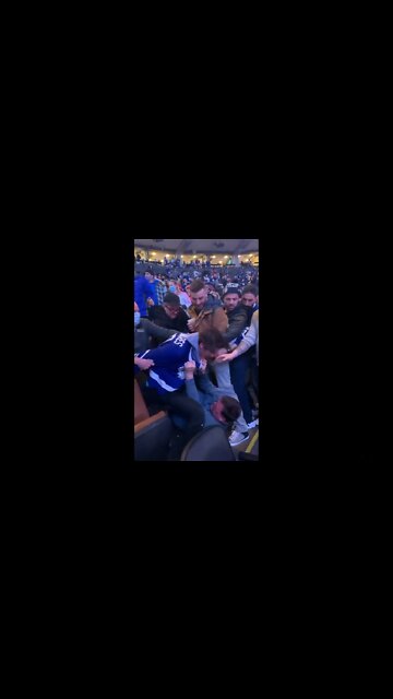 Fight Breaks Out in the Stands at Leafs Game...