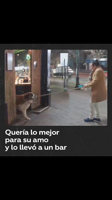Sale a dar un paseo con su perro y termina en un bar