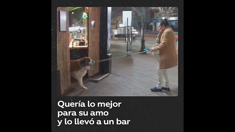 Sale a dar un paseo con su perro y termina en un bar