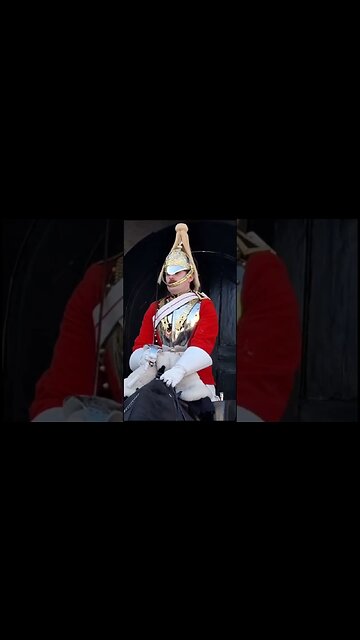Tourist takes a picture with a ghost 👻 horse #horseguardsparade #shadow