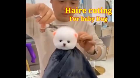 HOW TO HAIRE CUTING FOR BABY DOG