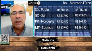 Boi gordo cai em 9 praças pecuárias com pressão de oferta