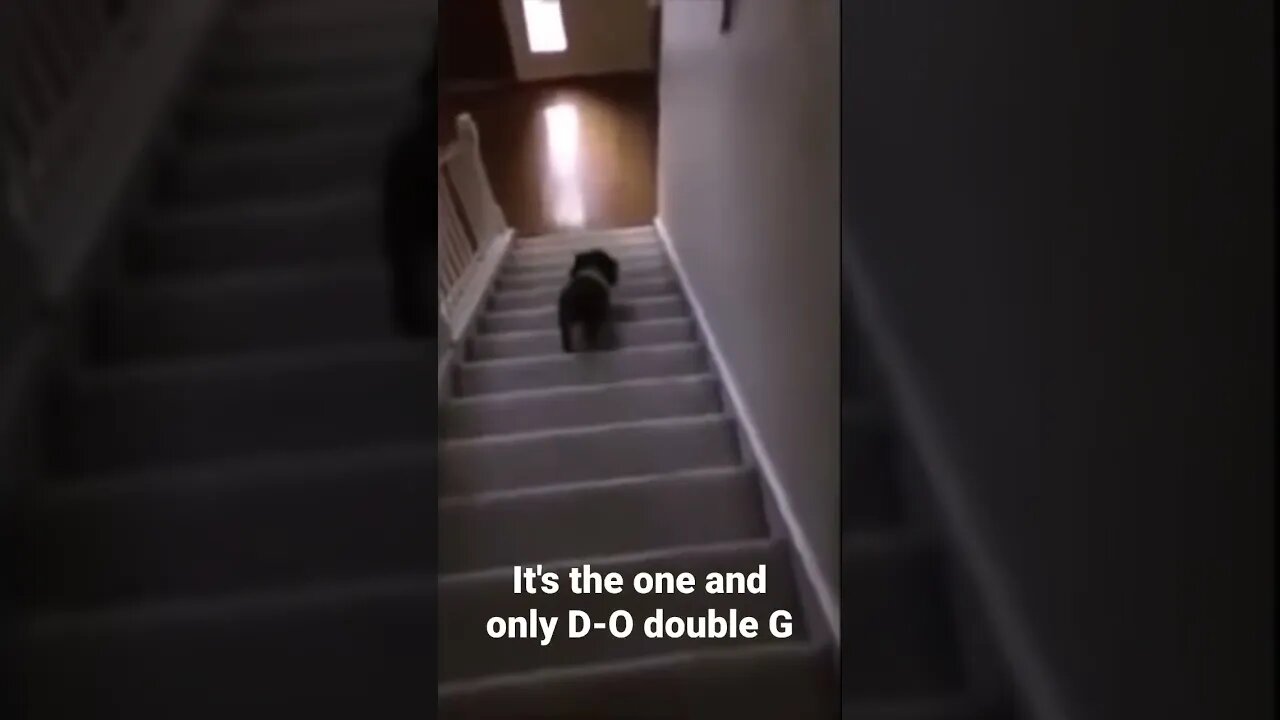 #shorts It's the one and only D-O double G