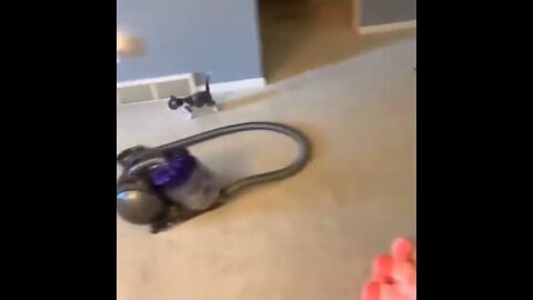 PLEASE SUBSCRIBE HELP ME POST MORE VIDEOS - #SHORTS