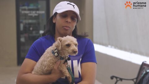 U.S. Army sergeant reunites with beloved pup after a year overseas