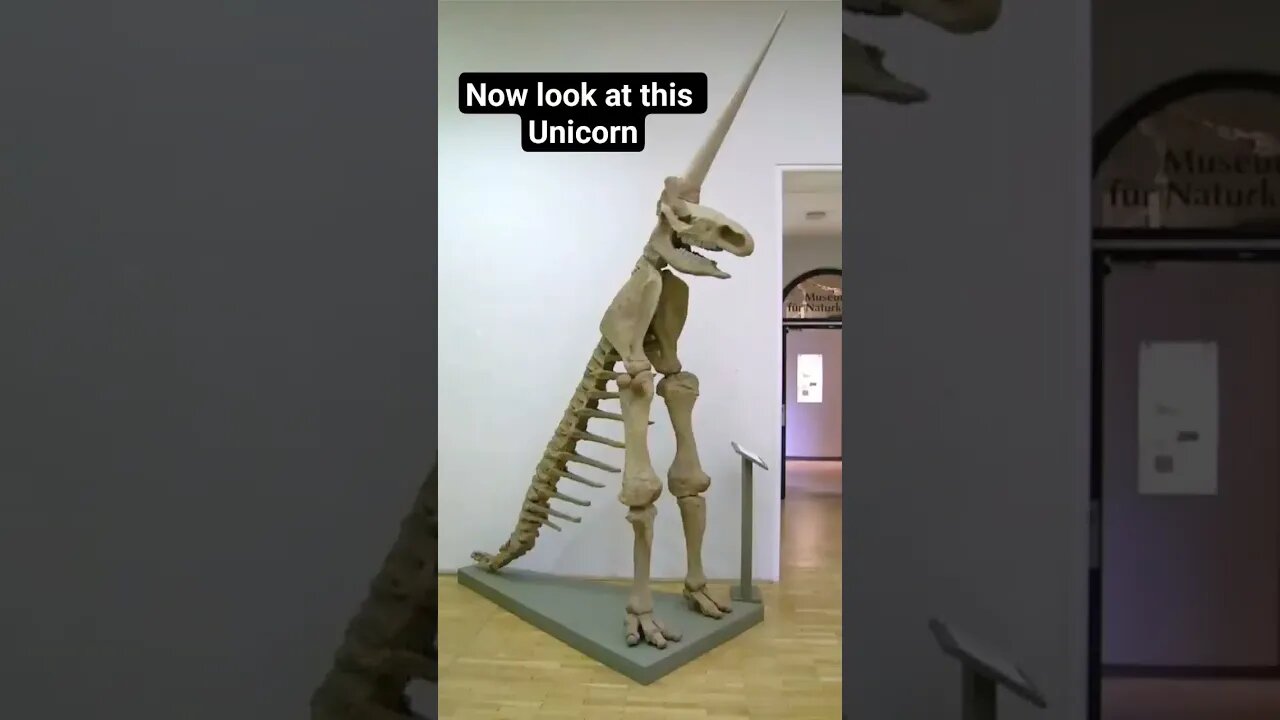 Unicorns are real