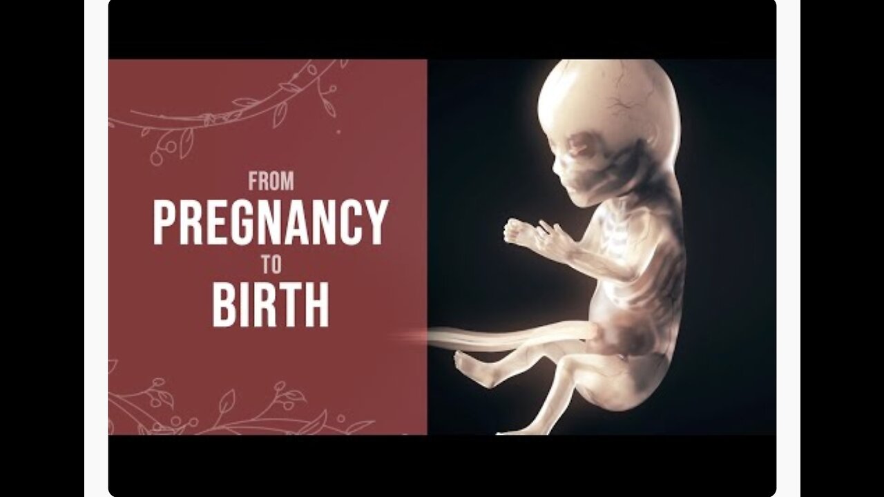 Pregnancy - how a wonder is born (animation)