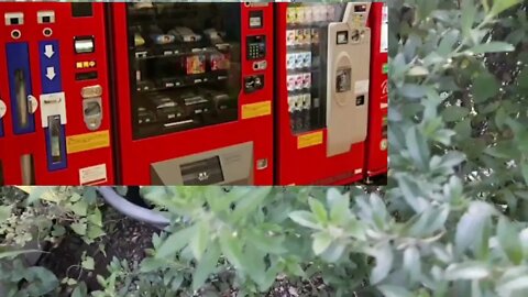 Vending Machine could be a good idea guadeloupe