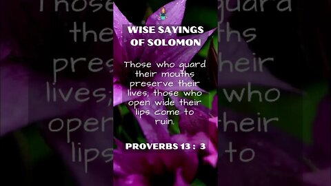 Wise Sayings of Solomon | Proverbs 13:3