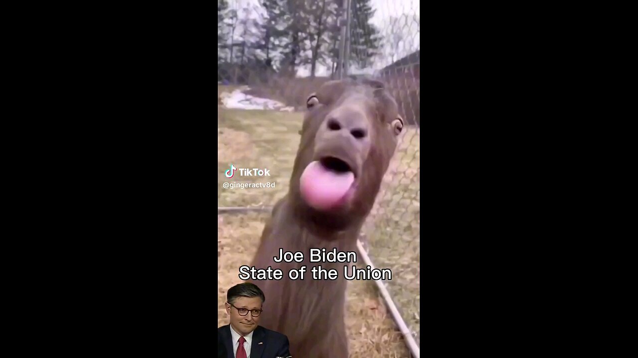 Here's Aoc doing Joe's state of the union