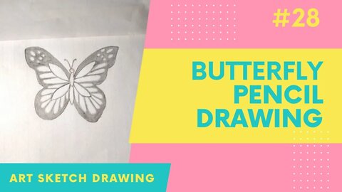 Butterfly Pencil Drawing for Beginners l How to Draw Butterfly #butterflydrawing #easydrawing