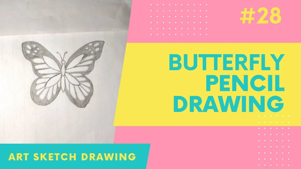 Butterfly Pencil Drawing for Beginners l How to Draw Butterfly #butterflydrawing #easydrawing
