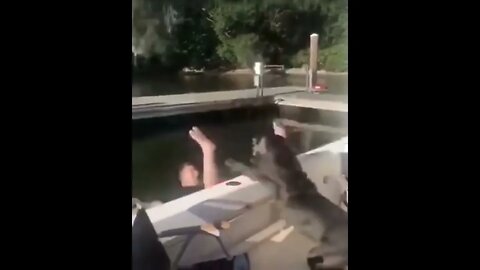 oh no!🤦‍♀️😬😆🤦‍♀️😍