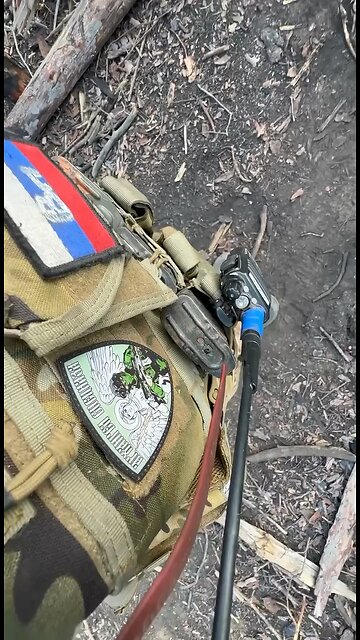 Forests of Kremennaya, Ukraine