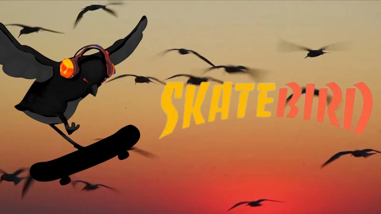 RALLY THE BIRDS| SkateBird #4