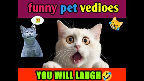 Funny pet vedioes Try Not to laugh if you can🤣✨️