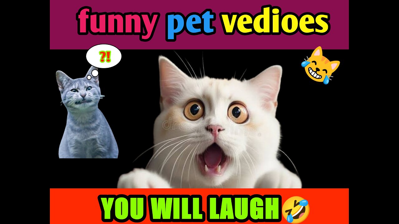 Funny pet vedioes Try Not to laugh if you can🤣✨️