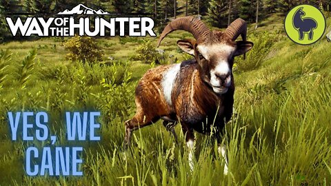 Yes, We Cane, Campsite Tasks, Transylvania | Way of the Hunter (PS5 4K)