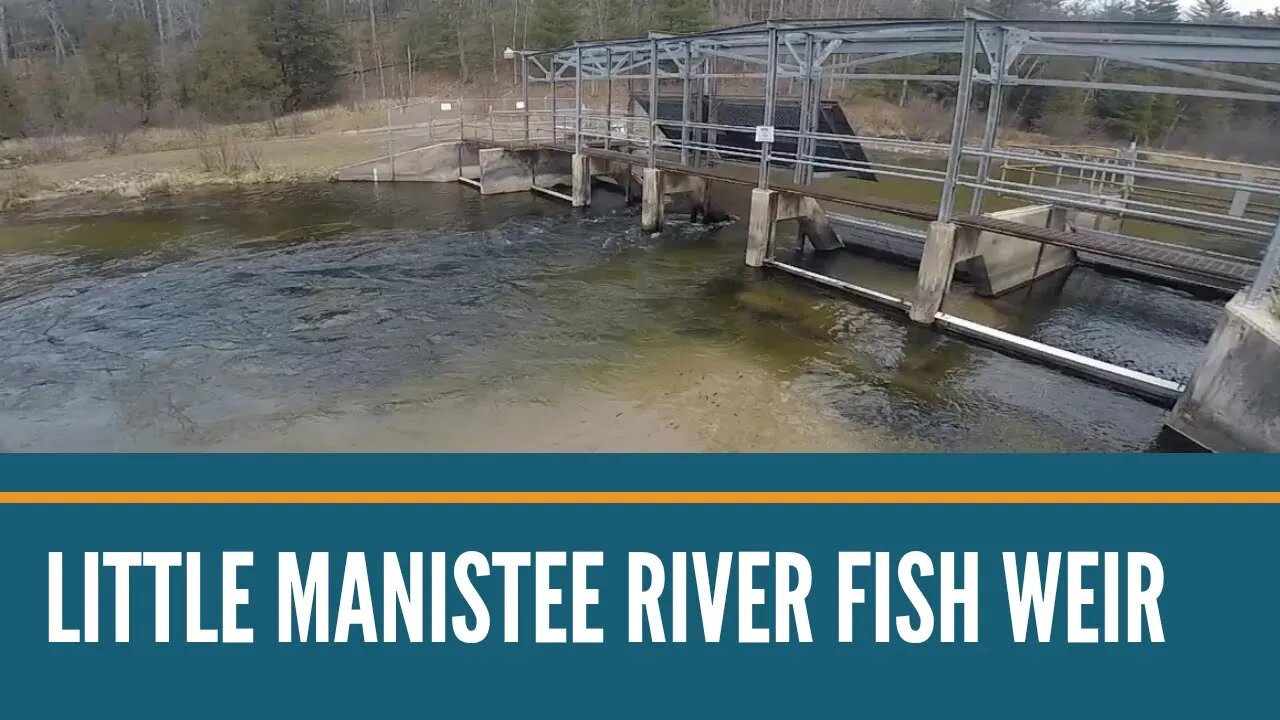 Little Manistee River Fish Weir Visual Overview / Our First Time On The Little Man / We got skunked