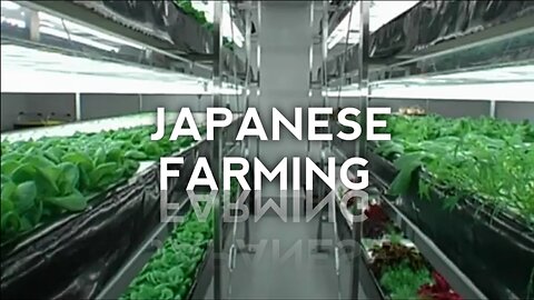 Discover the high-tech future of Japanese farming