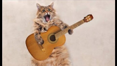 Cute Cat Singing Ah Aaaaa aa | Cute Animal Videos | Cat videos 🐱 || #bumble