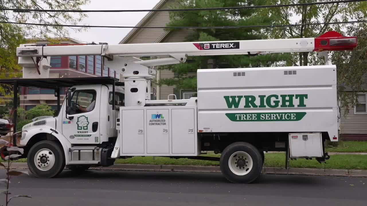 Thousands of trees in Lansing removed—but not replaced
