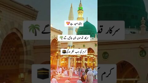 Madina | Bright stars | Nihal ali