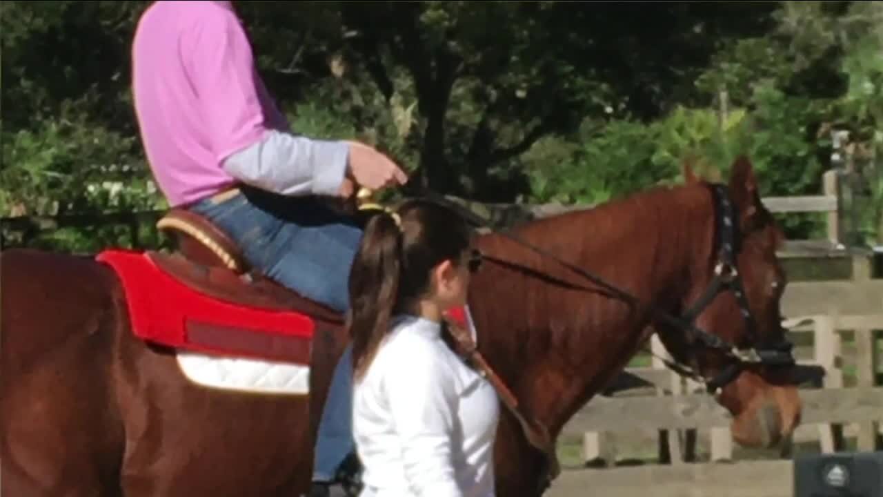 DPS students devastated after equine therapy program is canceled over transportation issues