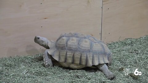 Twin Falls Zoological Center expands animal exhibits