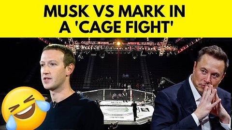 funny , Commenting on the fight between Mark and Mask in a funny way