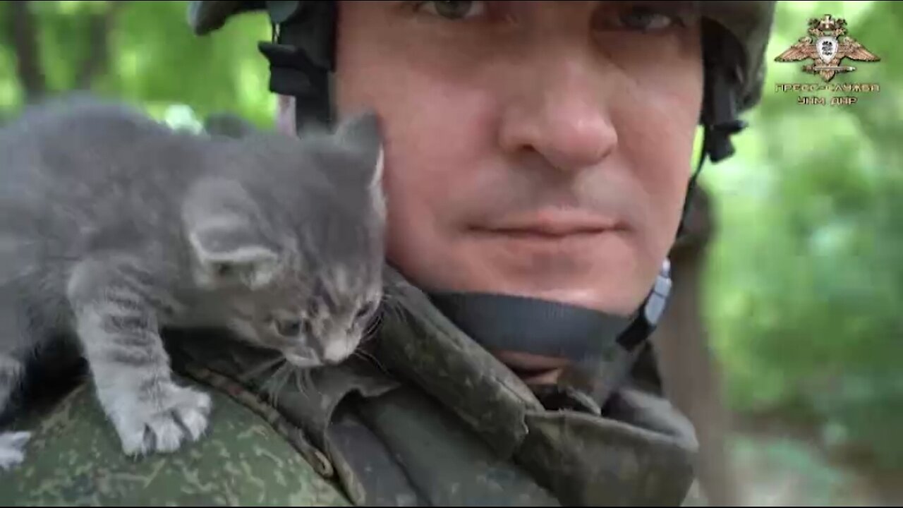 People's Militia of the DPR rescue pets left without care