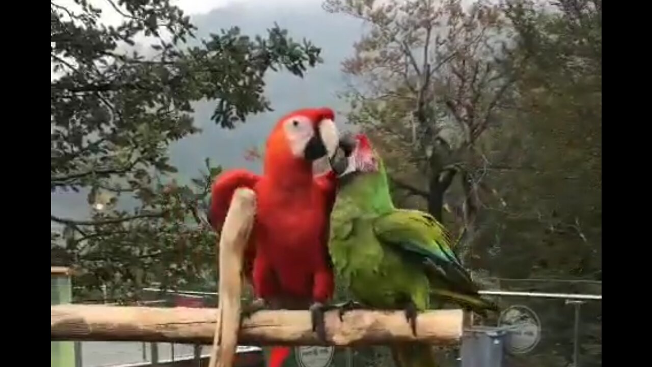 the love 😍