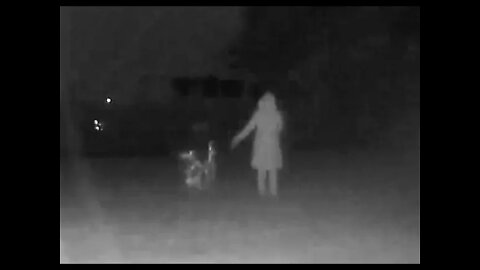 Night Orbs Otherworldly Activity Part 2 - My New Friend!