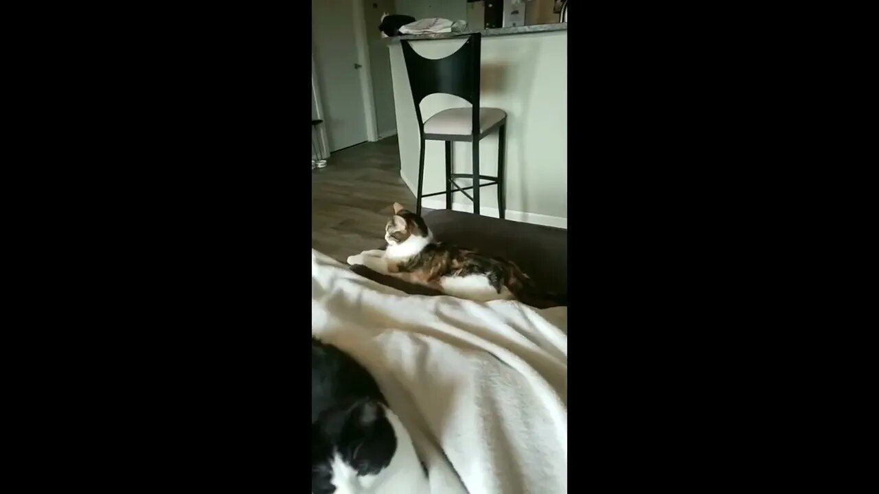 She found out that her fat will prevent her from flopping over