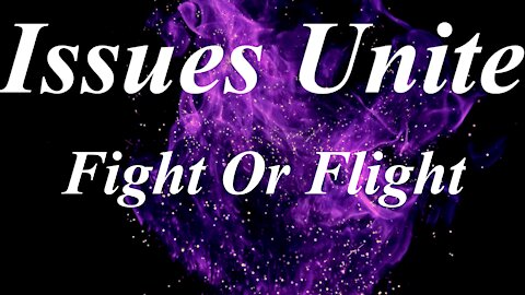 Fight Or Flight